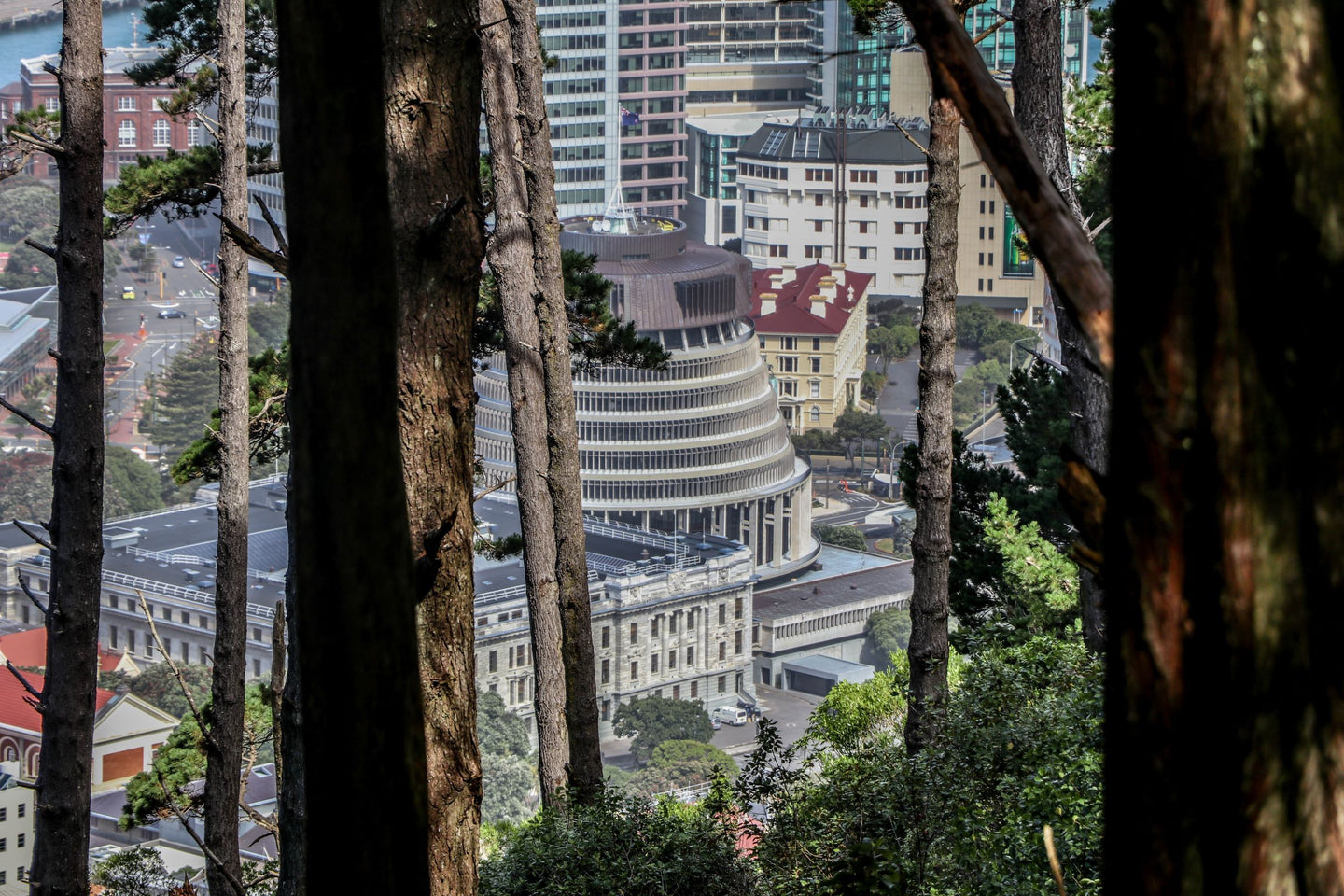 Beehive Through Trees